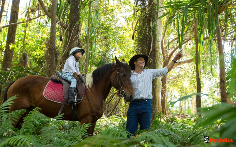 オーストラリア｜予約｜【ケアンズ】半日ホースライディング